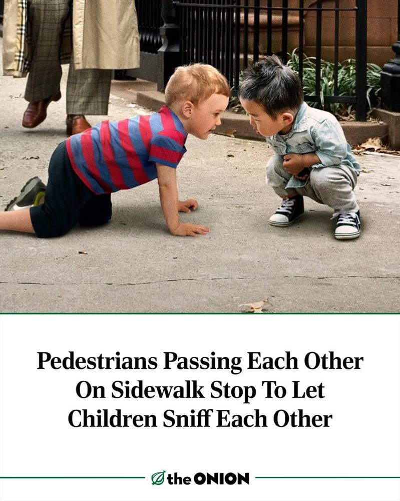 Pedestrians Passing Each Other On Sidewalk Stop To Let Children Sniff Each Other 