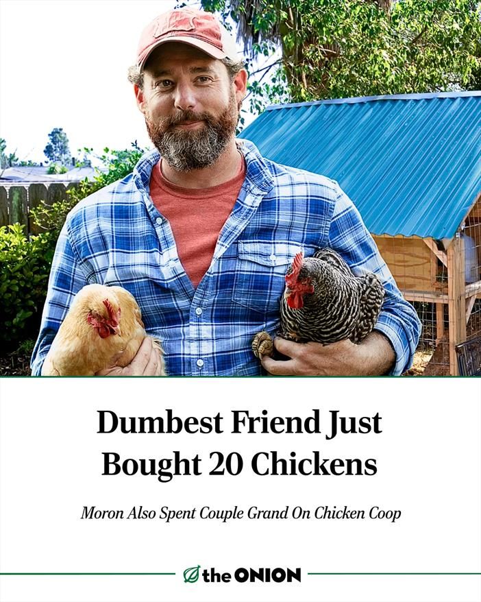 Dumbest Friend Just Bought 20 Chickens