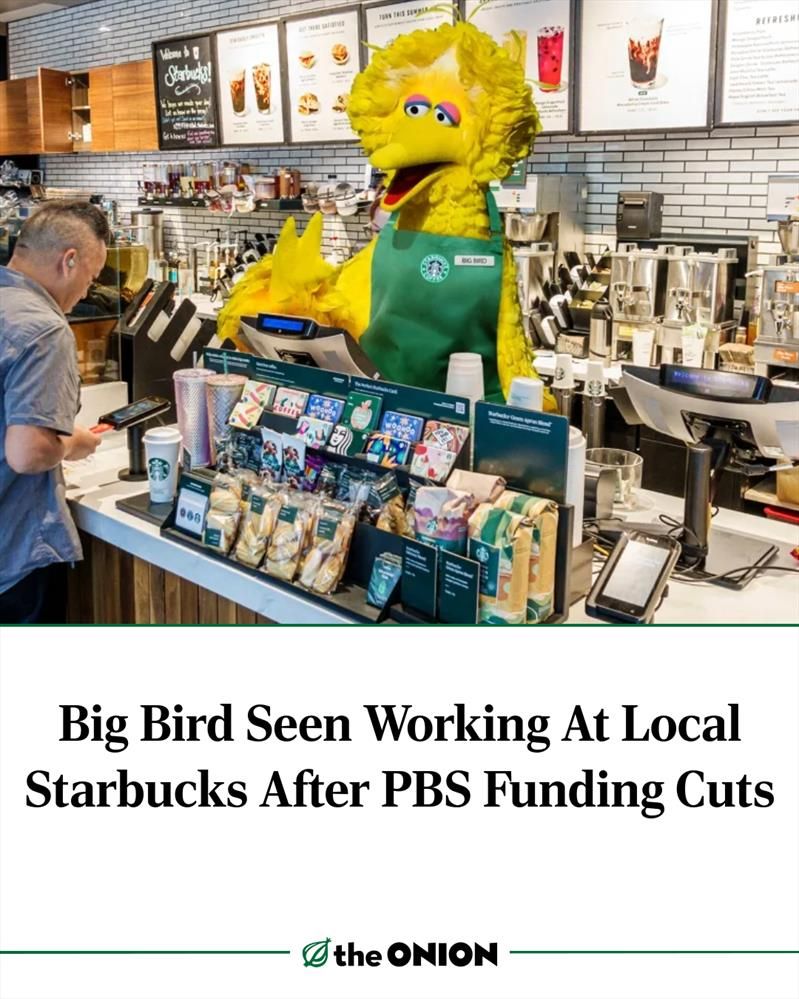 Big Bird Seen Working At Local Starbucks After PBS Funding Cuts