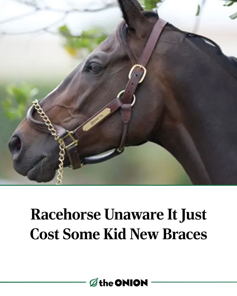 Racehorse Unaware It Just Cost Some Kid New Braces