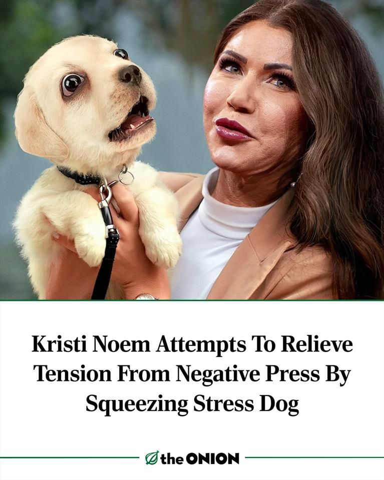 Kristi Noem Attempts To Relieve Tension From Negative Press By Squeezing Stress Dog