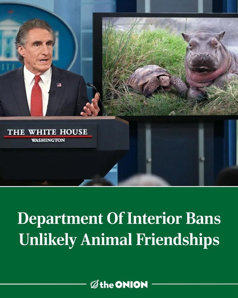 Department Of Interior Bans Unlikely Animal Friendships