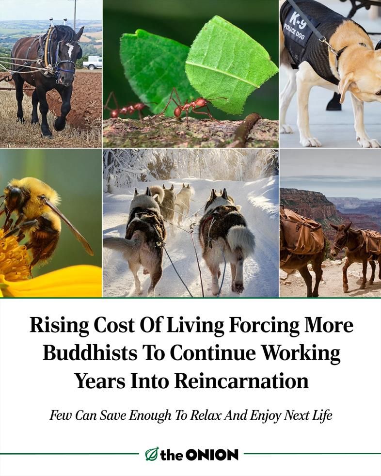 Rising Cost Of Living Forcing More Buddhists To Continue Working Years Into Reincarnation 

Few Can Save Enough To Relax And Enjoy Next Life

