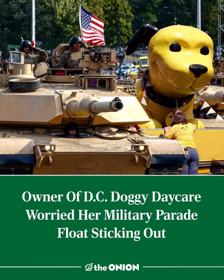 Owner Of D.C. Doggy Daycare Worried Her Military Parade Float Sticking Out