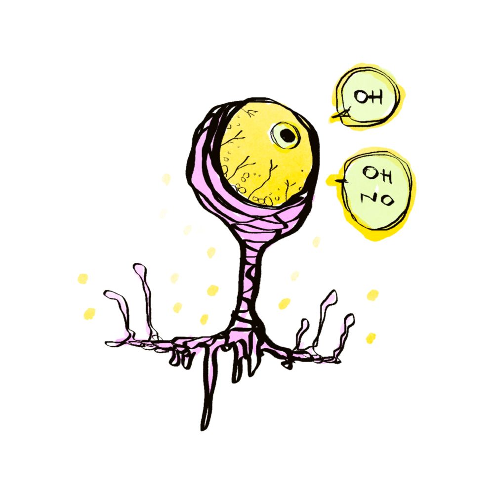 A pinkish creature made of solidified goo and one large yellow-green eye spots trouble in the place of their birth, the only home they've ever known--the Land of Eyes. They gasp, "Oh. Oh no." The trouble is unnamed and unseen, but the creature's fear is as real and implacable as the rising sun. 