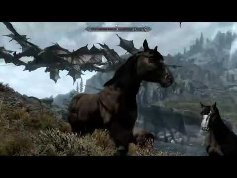 Griffin Mcelroy summons a billion dragons in Skyrim