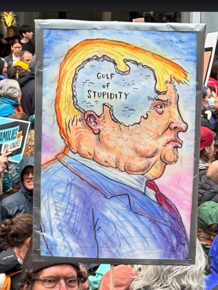 A poster from a protest in the US this weekend. The poster is a painting of Trump’s upper body and head. In the middle side of his head is an ocean with the words ‘Gulf of Stupidity’