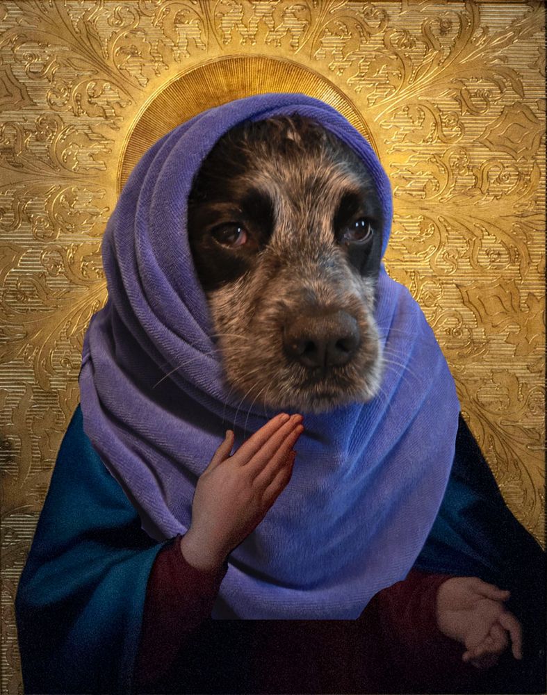 An edited photo of Mary mother of Jesus, with her face replaced by the original posters pet Cocker Spaniel