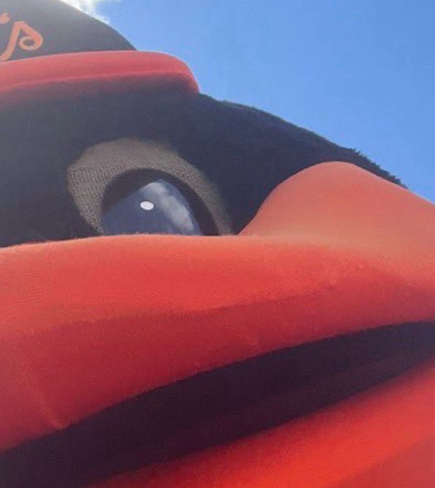 extreme close up of the baltimore orioles mascot 