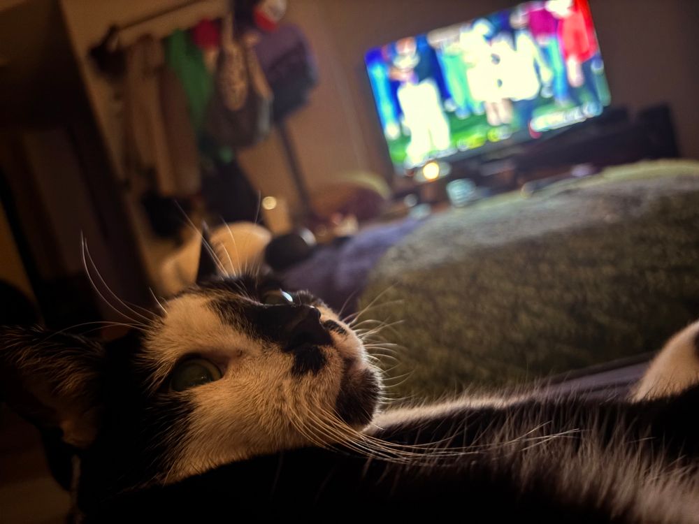 the most handsome tuxedo cat in the world lounging on a ouch with a football game on a television in the background 