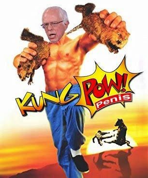 Kung pow penis