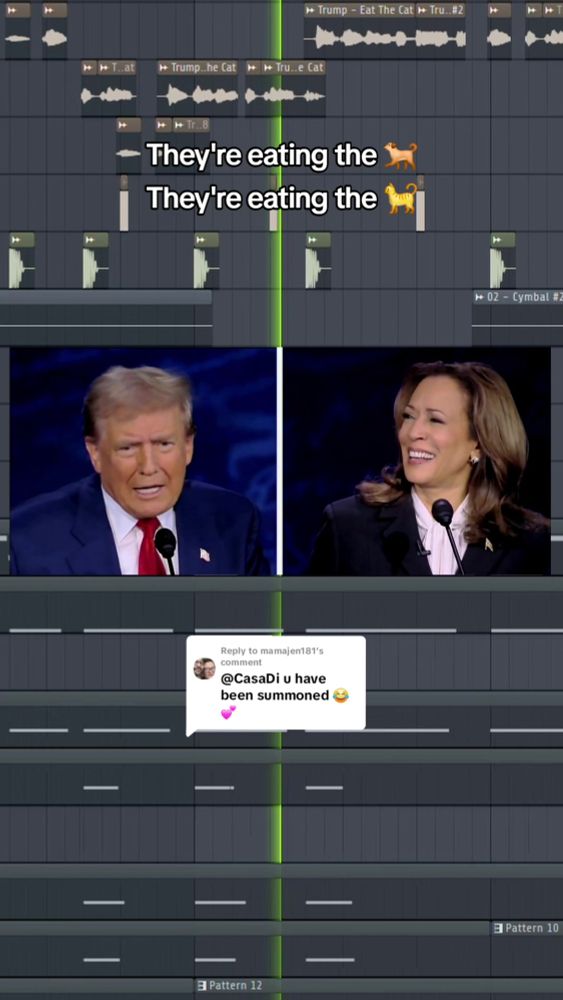 Replying to @mamajen181 @Rawlins They're eating the dogs they're eating the cats. Eat The Cat Donald Trump Kamala Harris Debate #kamalaharris #donaldtrump #remix #viralsounds 