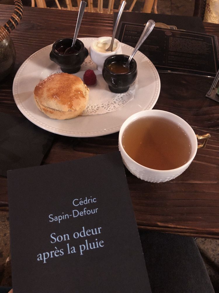 Photographie de la couverture du livre « Son odeur après la pluie » de Cédric Sapin-Defour