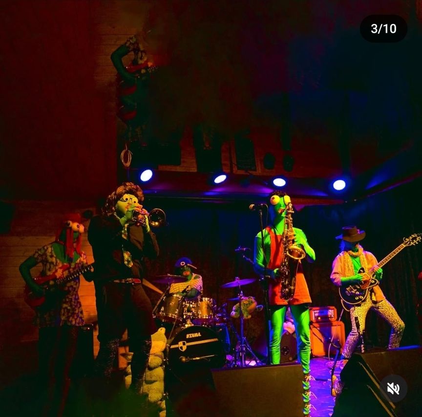 Members of the band Friendly Frogs Freak Show on stage dressed up as frogs 