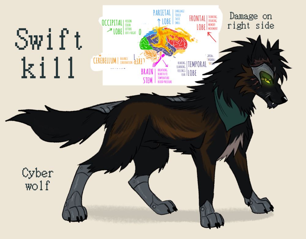 Me a wolfdog Chicory (i mean Swiftkill oops) 🐺💕