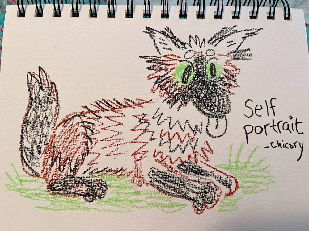 Hi that’s me Chicory the wolfdog
