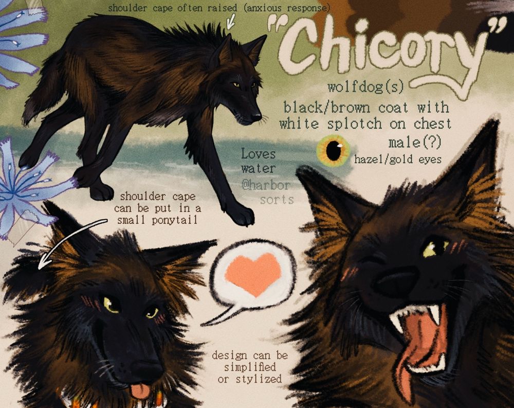 A refsheet of me a wolfdog :)