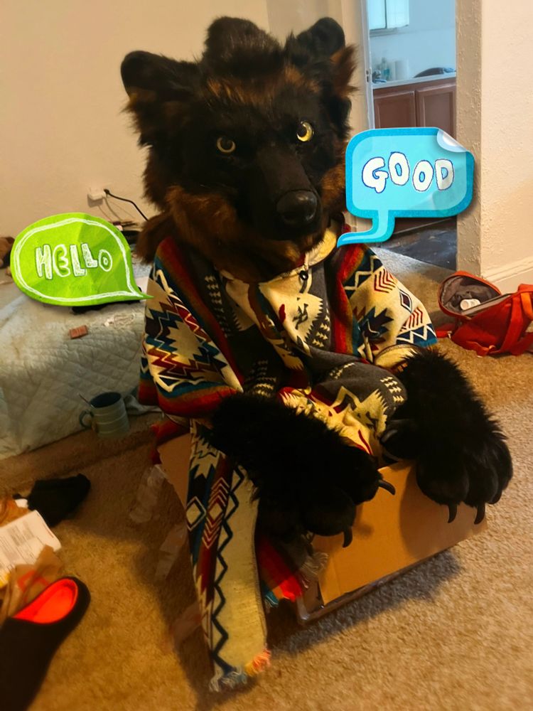 Me a wolfdog in a box i can say words if i want to 