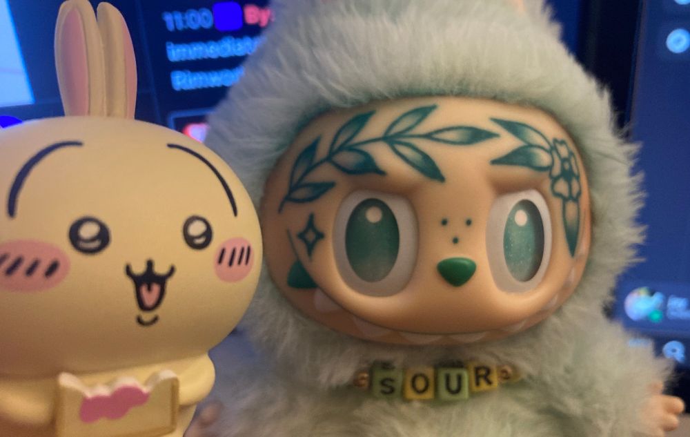 Close up of Usagi eating toast next to Lime.