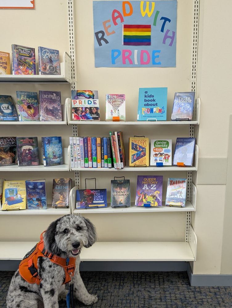 A book display with a sign above it that says "Read with pride" in the colors of the Philly Pride flag and the Trans Pride flag. A merle-patterned dog in an orange vest is sitting in front of the display shelf and smiling at the camera. End of description.