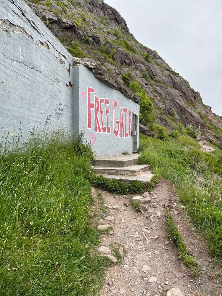 Graffiti on a wall next to a cliff with the words “free gaza”