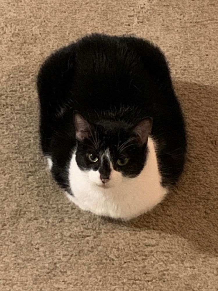 ooo-loaf that’s a big loaf my god