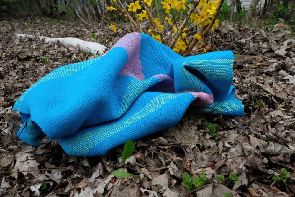 Bright blue handwoven textile with pink and yellow accents shown crumpled and draped on a bed of dried leaves and spring growth, with my yellow forsythia flowers blooming in the background.