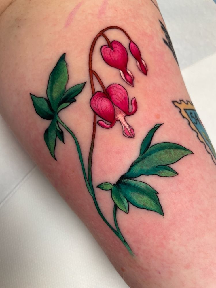 Tatovering i farger, av blomsten løytnanshjerter. 