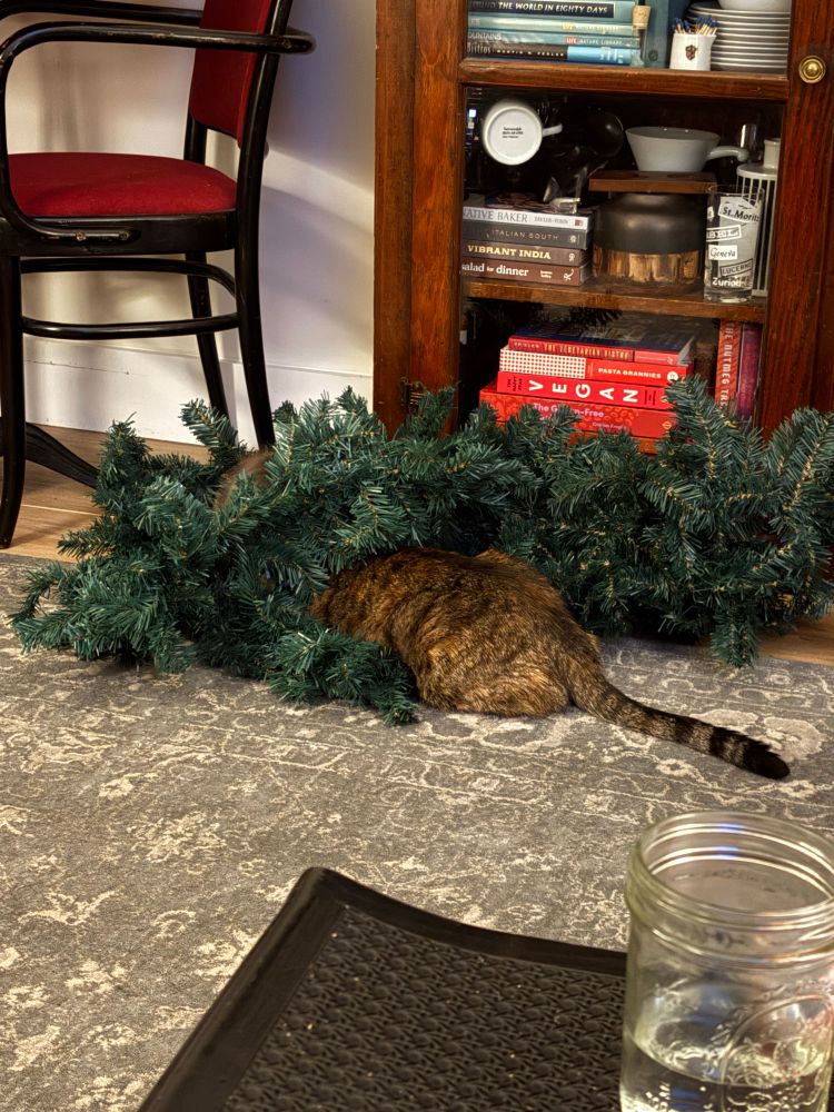 Cat hiding in green garland