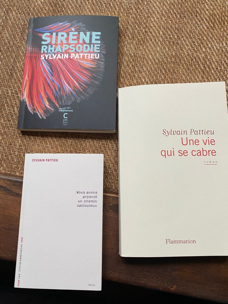 Trois livres de sylvain pattieu 