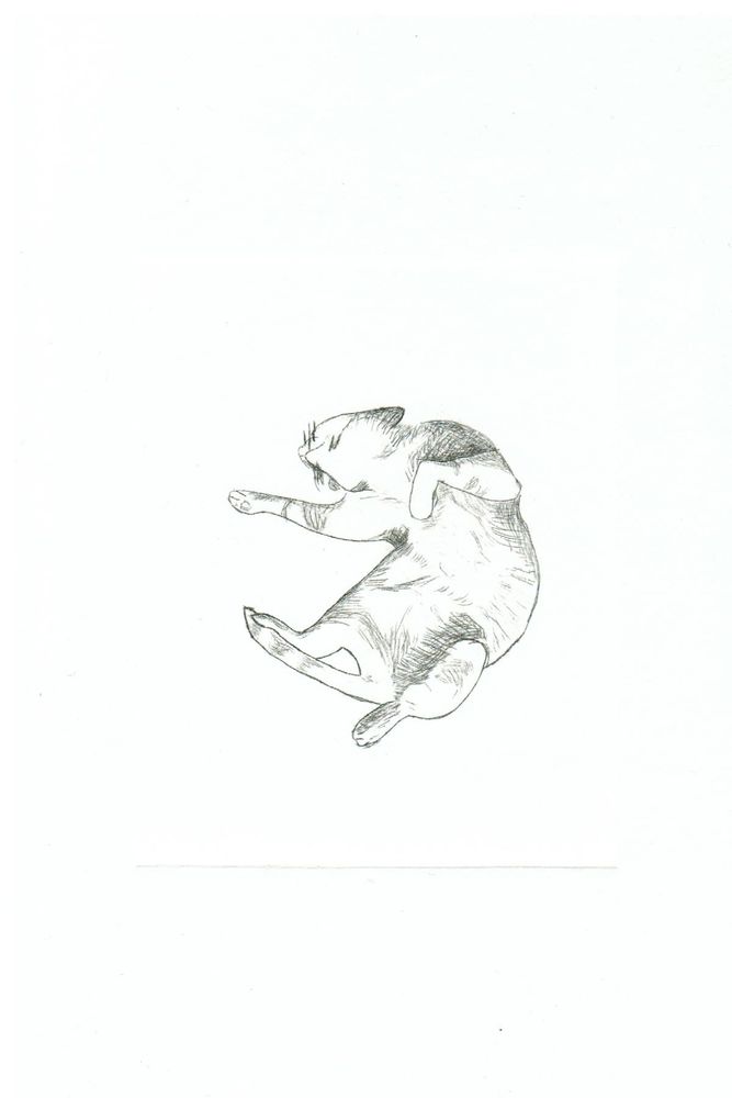 Monochrome drypoint etching of sleeping cat.