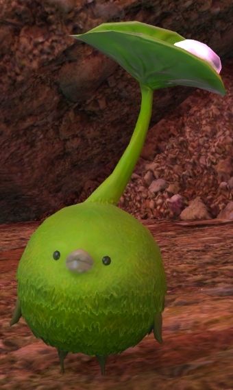 A korpokkur from FFXIV. Green moss plant creature with a cute bird face and tiny limbs.