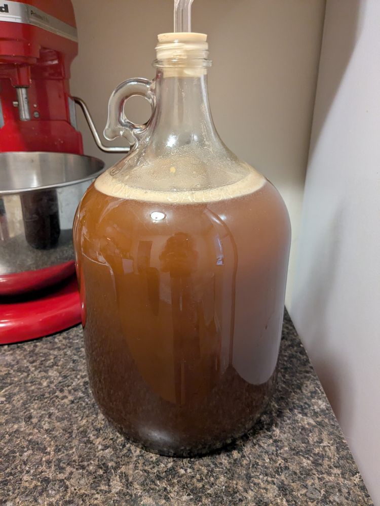 A carboy of freshly fermenting mead. The yeast has added a light layer of foam on top, and the color gets gradually darker as it descends. The carboy is sitting on a granite countertop and a red stand mixer can be seen behind the meas
