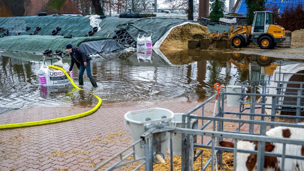 Überschwemmte Äcker und Höfe: Landwirte leiden unter Dauerregen