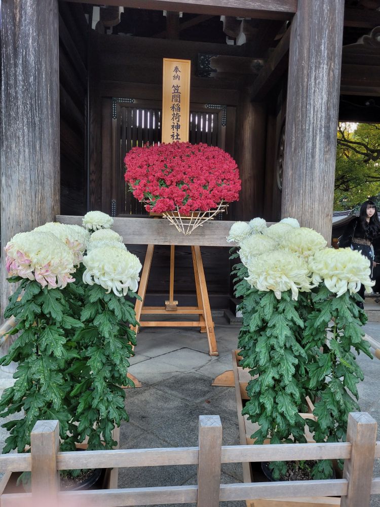 some white and red flowers arranged at the meiji shrine sorry i don't know what kind of flyers they are
