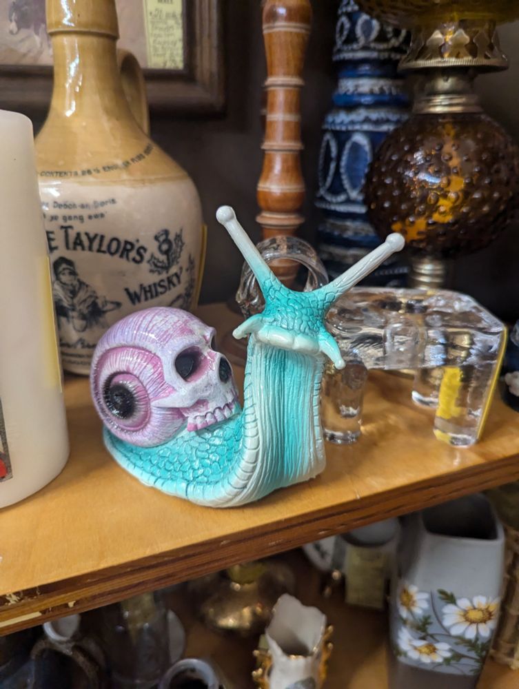 A blue snail with a purple skull as its shell, sitting on a cluttered antique store shelf, positioned so the snail looks like it's staring directly at the camera 