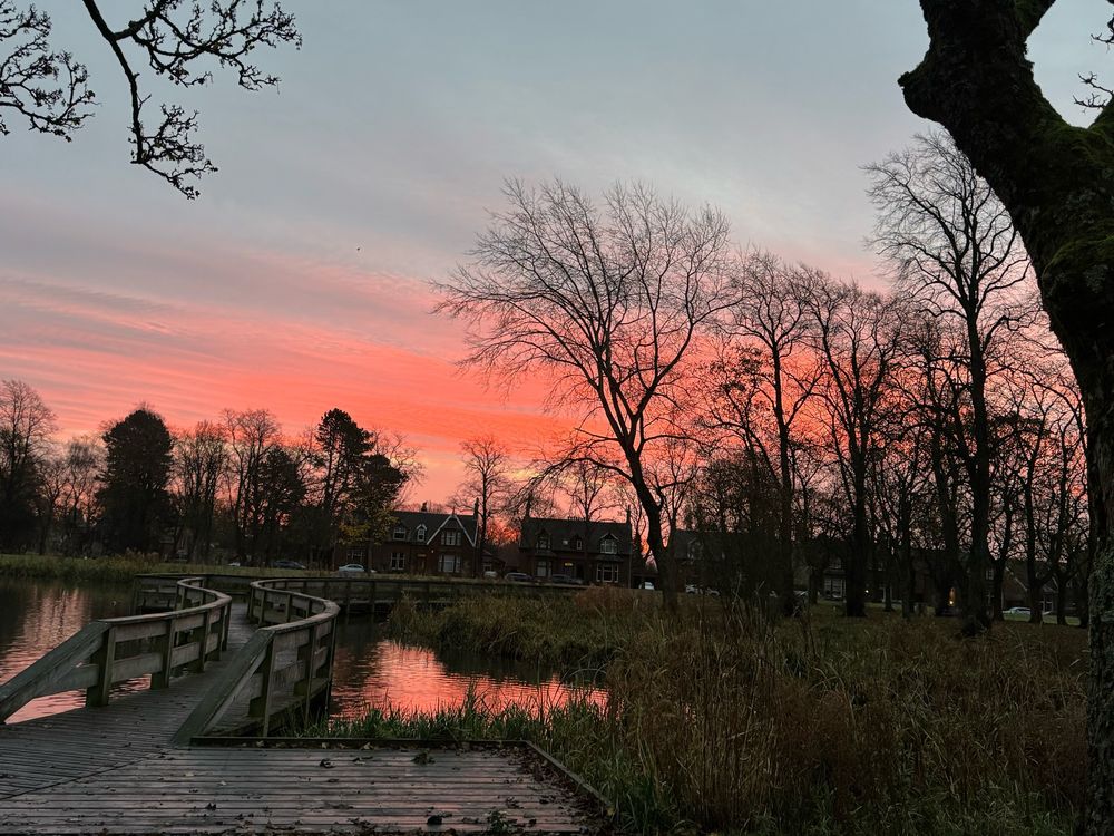 Pink sunrise reflected in a pond with a bridge across it and surrounded by trees