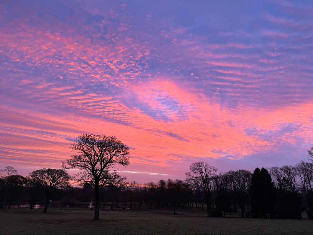 Pink and orange sunrise over a park with trees