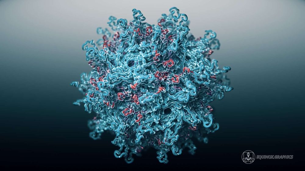VIsualisation of the structure of the human papillomavirus, showing the capsid units which make up the virus shell, which contains its circular DNA genome.