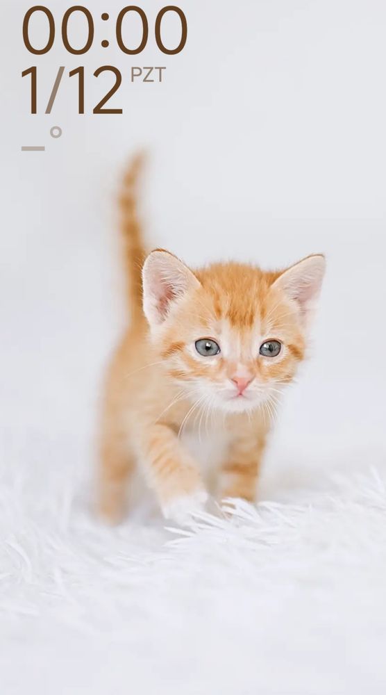 Aralık güzelliklerle gel 🙏🏻