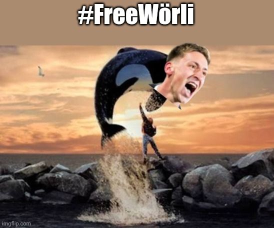 Ein Ausschnitt des Filmplakets von dem Film "Free Willy". Auf den Kopf des Orcas wurde ein Bild des Kopfes des Fußballspielers Marius Wörl kopiert. Auf dem oberen Rand des Bildes steht der Hashtag "FreeWörli" 