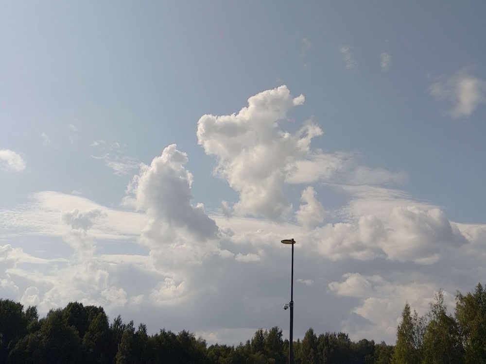 blue sky with white clouds
