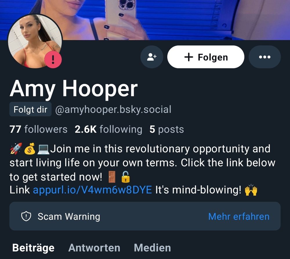Profile of an "Amy Hooper" including a spammy looking bio text about smth smth making money. The profile picture has a red exclamationmark at the bottom and below the bio is a marker saying 'scam warning ... Read more'