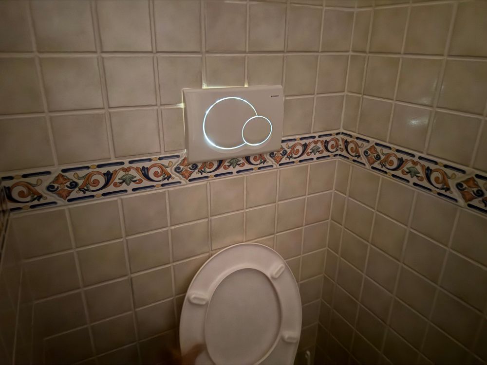 sunlight shining through the toilet flush buttons


The bathroom at the beach house is coming to life or imploding, I don't know. I just know it'll be more expenses. 