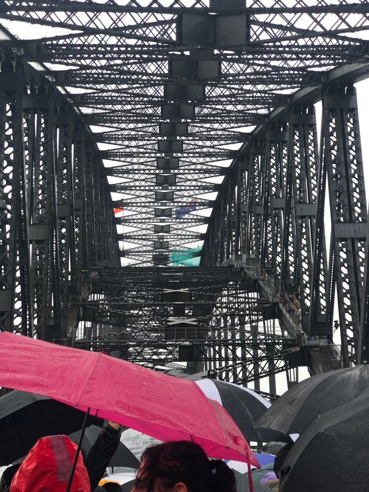 View of Sydney Harbour Bridge from March for Humanity. 