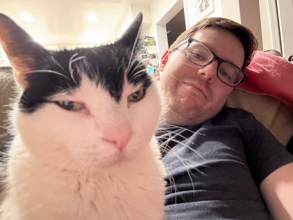 A photo of a black and white cat looking mad at the world but also v cute