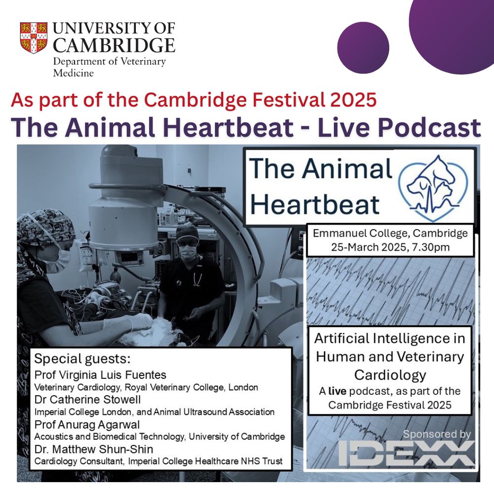 Post design promoting the Live podcast event at the Cambridge Festival