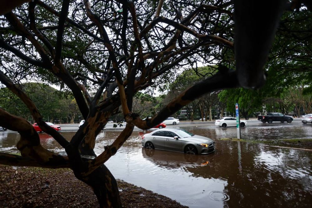 Temporal deixa ruas alagadas e derruba árvore no DF. Veja imagens