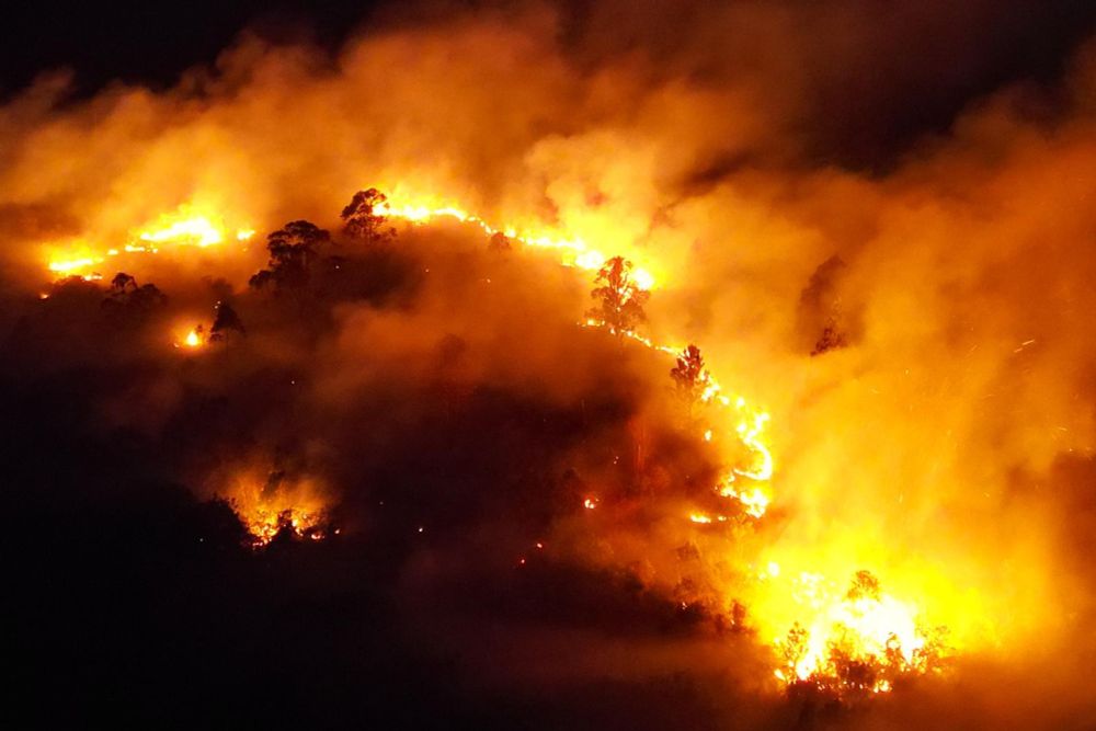 Dino fala em emergência climática e autoriza créditos extraordinários | Metrópoles