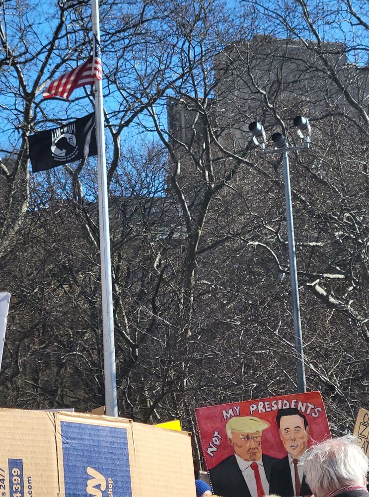 A sign with a painting of President Trump and Elon Musk reads "Not my presidents."